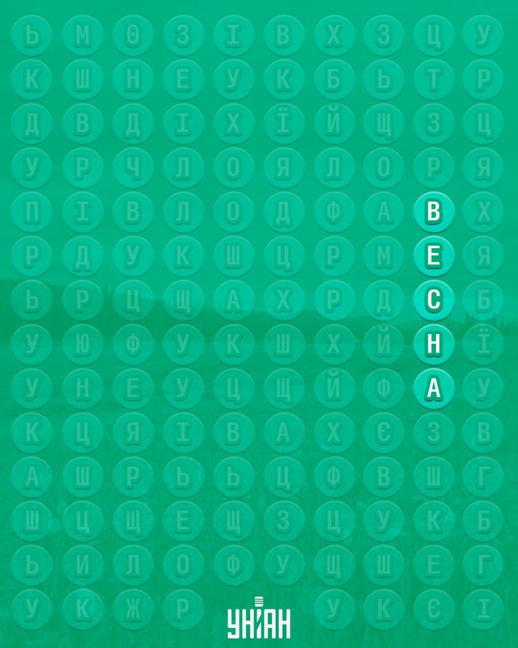 98 % lidí nedokáže najít slovo 