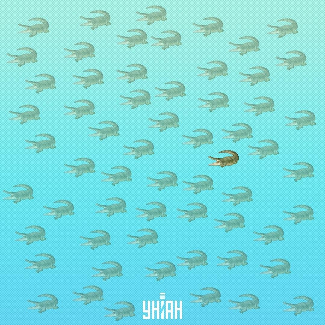 Měl by se nacházet blíže ke středu, na pravé straně / Moje Collage