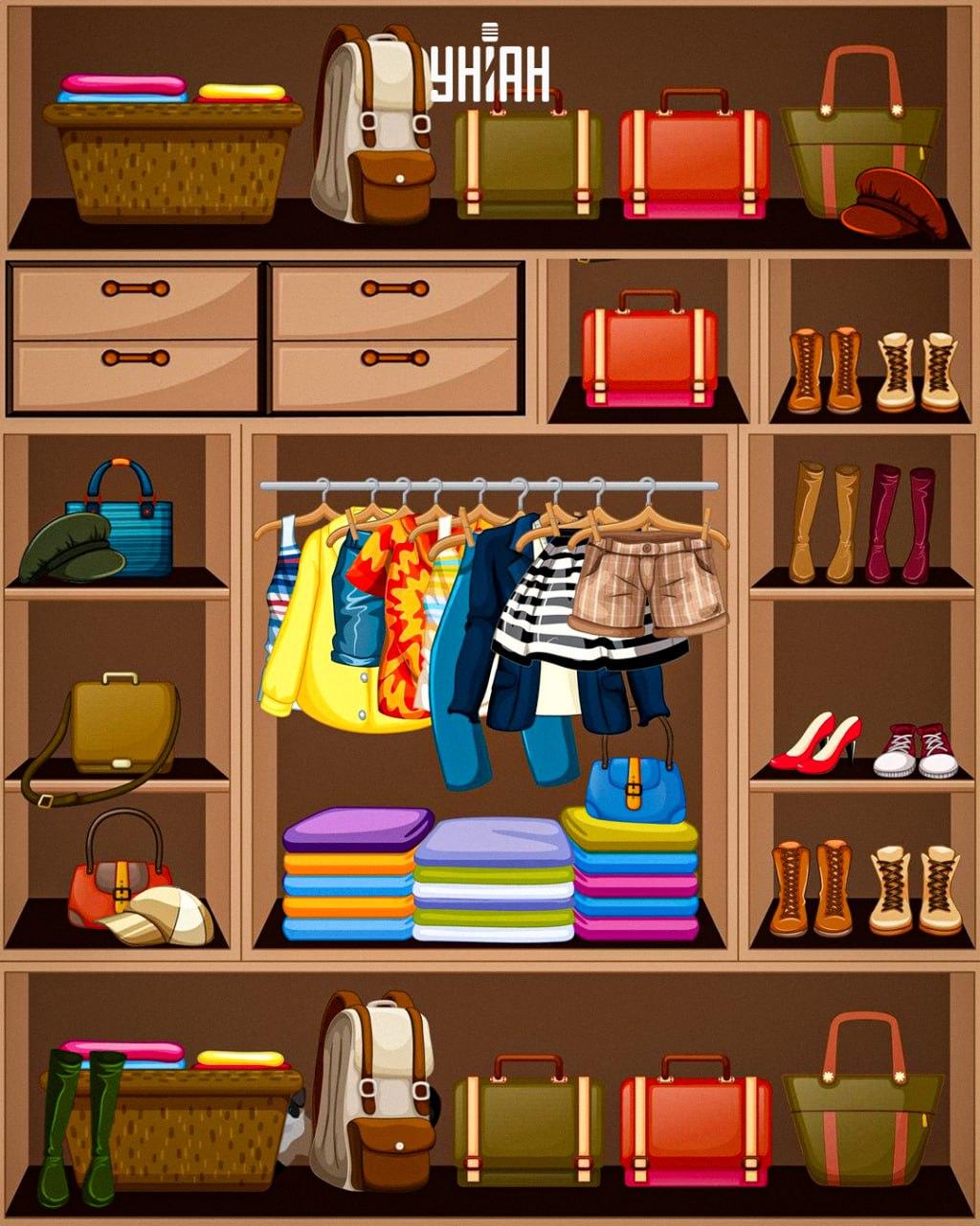 Potřebujete najít mazanou kočku / koláž Moje