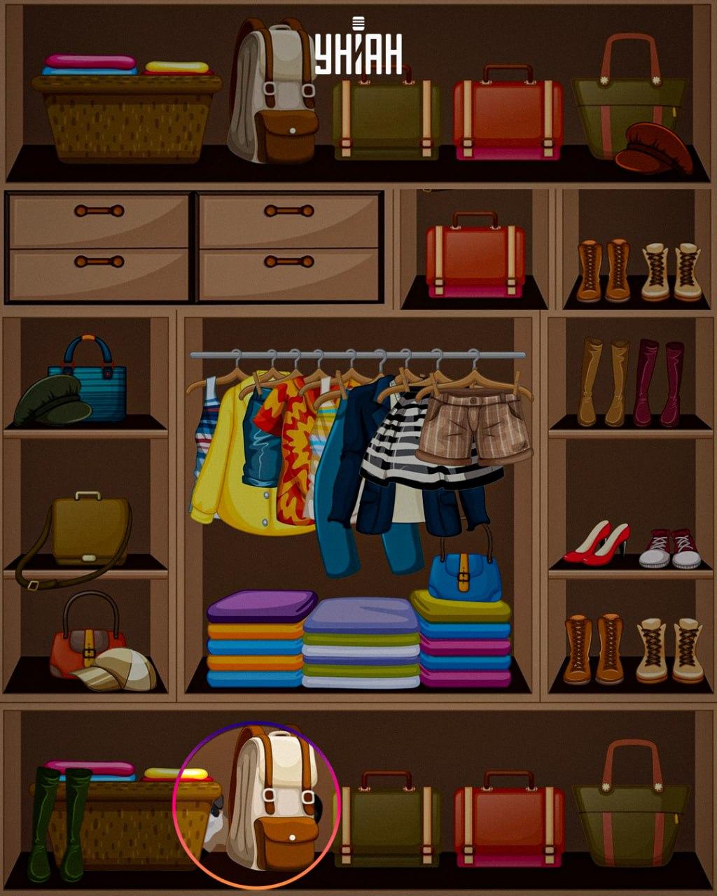 Mazané zvíře bylo umístěno na spodní část obrázku / koláž Moje