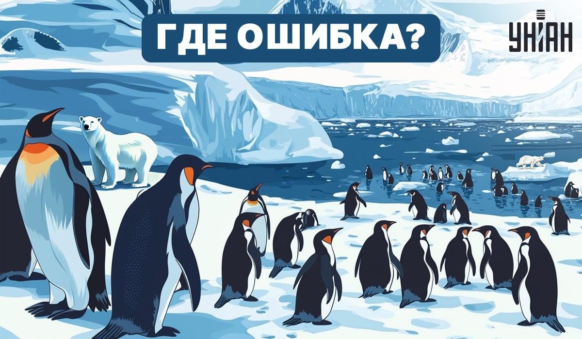 Dokážete přijít na to, co je na obrázku špatně? / Moje