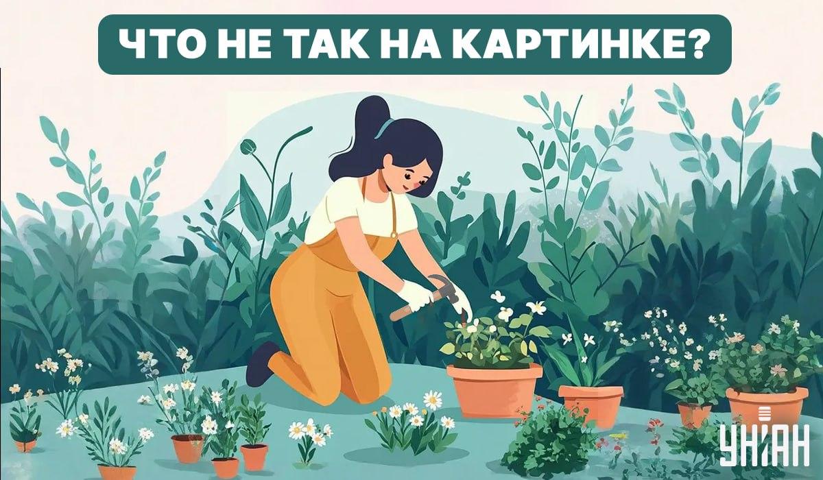 Pokuste se najít chybu / Koláž - Moje