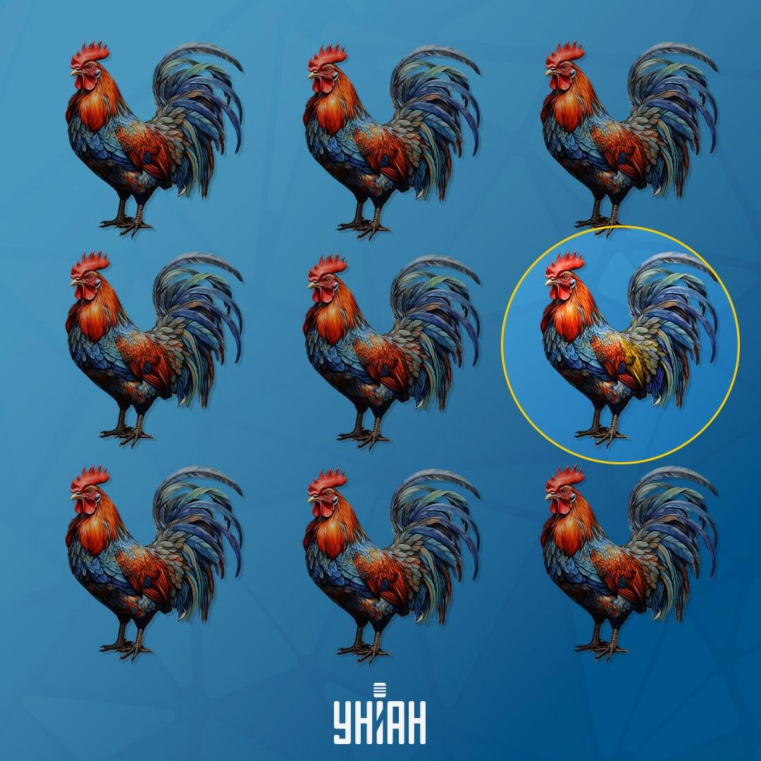 Kohout, který je jiný než ostatní, byl vlevo / koláž Moje