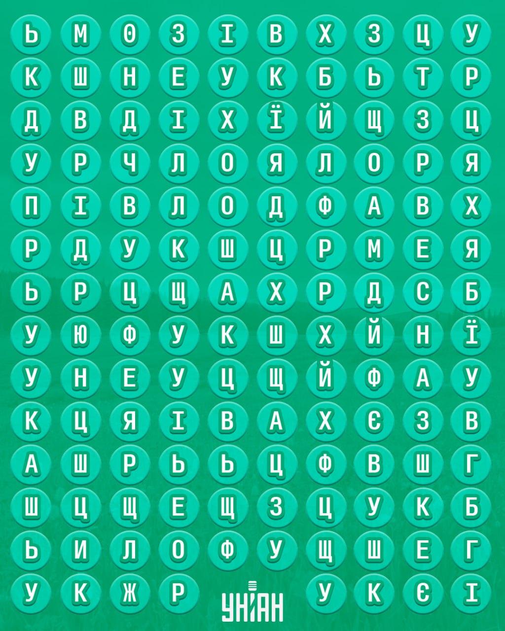 98 % lidí nedokáže najít slovo 