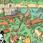 Hádanka pro ty, kteří mají výborný zrak: musíte najít magnet