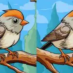 IQ test: musíte najít 3 rozdíly na obrázku ptáka na