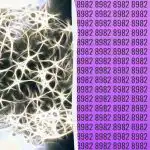 Jednoduchý IQ test: najděte číslo navíc za 9 sekund