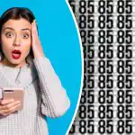 Kde se skrývají čísla 86 a 35: jen ti nejpozornější je najdou za 6 sekund. Kde se skrývají čísla 86 a 35: jen ti nejpozornější