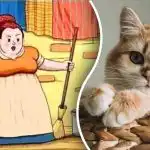 Kočku za 9 sekund najdou jen lidé s orlím zrakem: