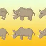 Kolik nosorožců je na obrázku: jen génius by to dokázal