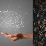 Kužely vidí každý, ale ježka musíte najít za 7 sekund: