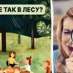 Najdi brouka v lese za 5 sekund: rychlý IQ test