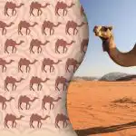 Podivného velblouda najdou jen novodobí Sherlockové Holmesové: záhada pro nejbystřejší