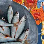 Potřeba najít ryby mezi kočkami: zábavná hádanka pro lidi s orlím zrakem Potřeba najít ryby mezi kočkami: zábavná hádanka pro lidi s