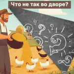 Potřebujete najít velkou chybu na farmě do 5 sekund: zábavný