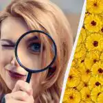 Pouze 1 z 10 lidí najde jelena na obrázku za