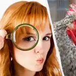 Pouze brilantní detektiv najde 5 rozdílů za 15 sekund: velmi