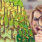 Pouze lidé s vysokým IQ najdou na tomto optickém klamu