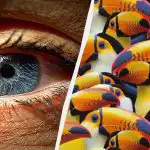 Překvapivě obtížná hádanka: za 7 sekund musíte najít pelikána mezi