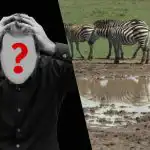 Rychlý IQ test: najděte psa v poli za 6 sekund