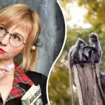 Tuto "ďábelskou" hádanku vyřeší za 30 sekund jen opravdový génius.